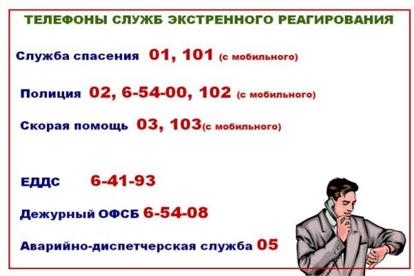 76739315.jpg