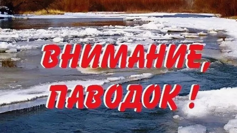 861_n1699113_big.jpg